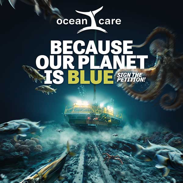 Because Our Planet Is Blue: Adopting a Moratorium on Deep Sea Mining