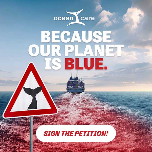 Because Our Planet Is Blue: Speed Reduction in Shipping