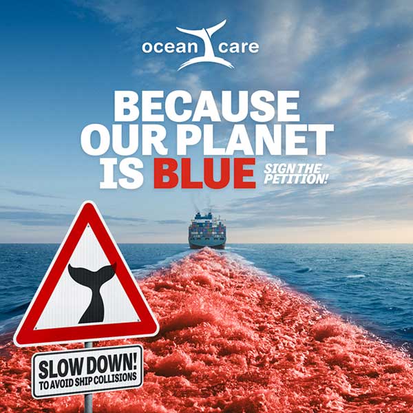 Because Our Planet Is Blue: Speed Reduction in Shipping