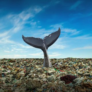 Kampagne Because Our Planet Is Blue: Plastikverschmutzung – das Meer ertrinkt im Müll